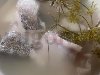 Keptas ešerys, marinuotas agurkų sūryme Žingsnis 2