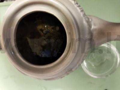 Ivano arbata su kiviu ir žvaigždiniais anyžiais Žingsnis 5