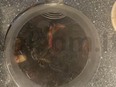 Karčiai su anyžiais Žingsnis 3