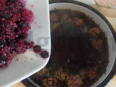 Arbatos gėrimas su juodaisiais serbentais ir dobilais Žingsnis 3