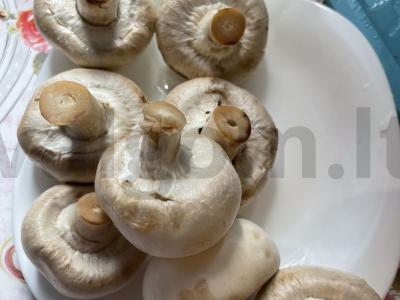 Grybai ir vištienos krūtinėlė grietinėlės padaže Žingsnis 1