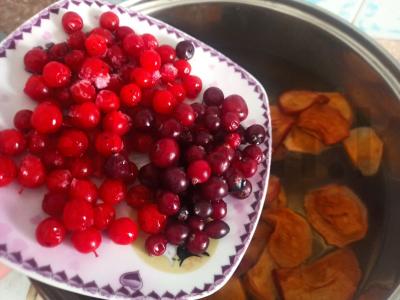 Raudonųjų serbentų, spanguolių ir džiovintų obuolių kisielius Žingsnis 2