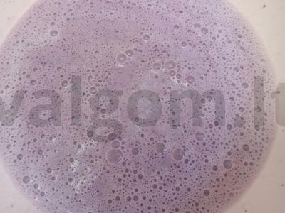 Bananų-mėlynių pieno kokteilis Žingsnis 4