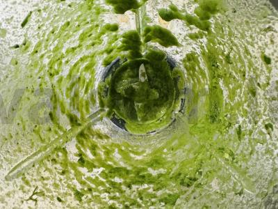 Naujųjų metų virtinukai su bulvėmis ir grybais Žingsnis 6