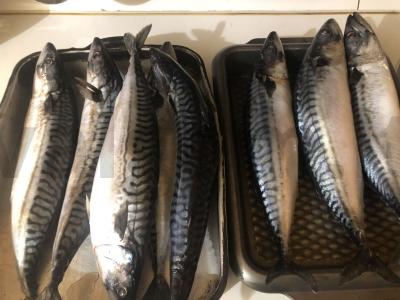 Sūdyta skumbrė namuose Žingsnis 1