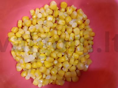 Salotas „Morkų fejerija“ Žingsnis 1