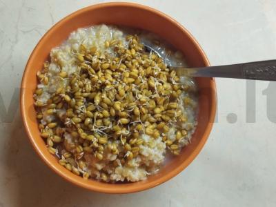 Avižinė košė su daiginta kviečiais Žingsnis 7