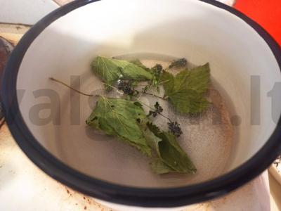 Arbatos gėrimas su juodaisiais serbentais, čiobreliais ir imbieru Žingsnis 1