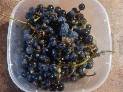 Vynuogių kompotas su obuoliais Žingsnis 2