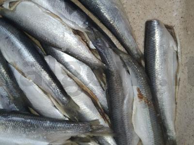 Kepta silkė miltuose keptuvėje Žingsnis 1