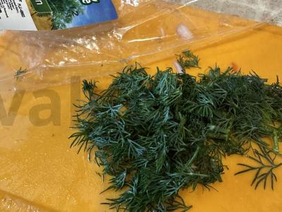 Trijų rūšių pomidorų salotos su krapais Žingsnis 5