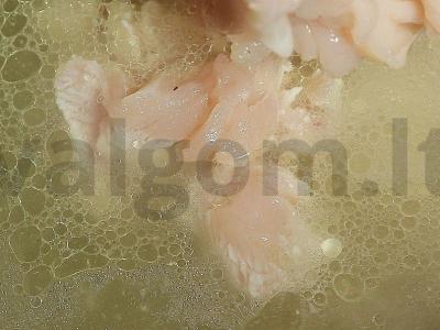 Gruziniškas sriuba „Čihirtma“ Žingsnis 3