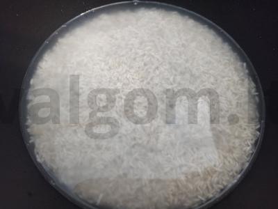 Ryžiai su šonine pomidorų padaže pietums Žingsnis 1