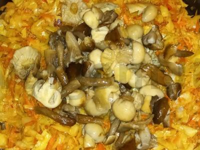 Kepta kopūstai su miško grybais Žingsnis 7