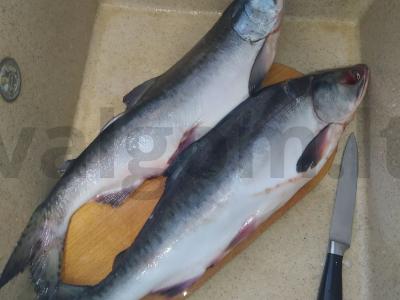 Sūdyta lašiša su žolelėmis Žingsnis 1