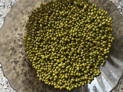 Miežiai iš mašo Žingsnis 1