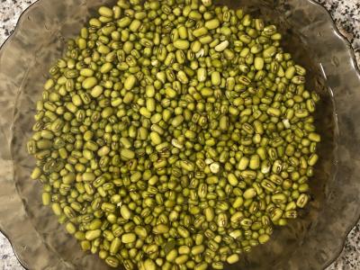 Miežiai iš mašo Žingsnis 2