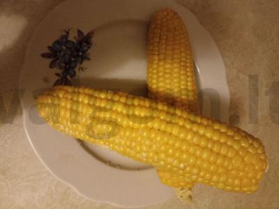 Kukurūza mikrobangų krosnelėje pagrindine nuotrauka