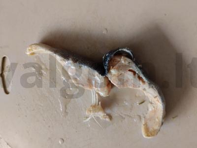 Salotas „Džiaugsmas“ su virta raudona žuvimi Žingsnis 2