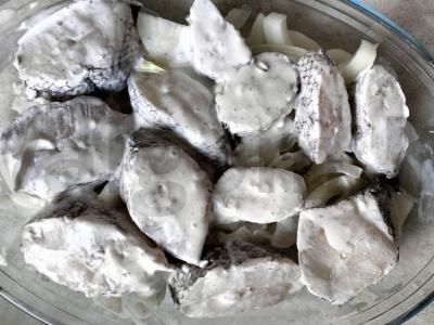 Kepta lydeka po sūrio plutele Žingsnis 6