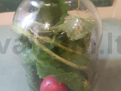 Marinuoti agurkai su pomidorais žiemai Žingsnis 3