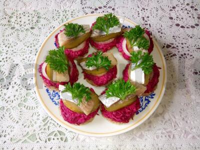 Kanarė su silke ant burokėlių-sūrio užtepo pagrindine nuotrauka