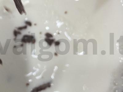 Naudingas kakavos šokoladas „Nulis kalorijų“ Žingsnis 2