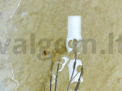 Marokinis mannikas su kakava Žingsnis 4