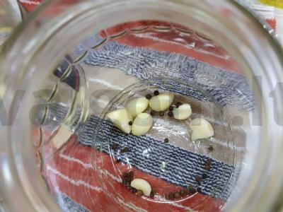 Konservuoti pomidorai su paprika ir salierais azerbaidžaniečių stiliumi Žingsnis 4