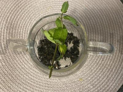 Arbata su miško spanguolėmis Žingsnis 2