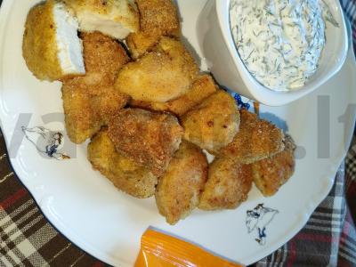 Kalakutų nagetai pagrindine nuotrauka