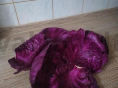 Neįprasti violetiniai balandėliai Žingsnis 1