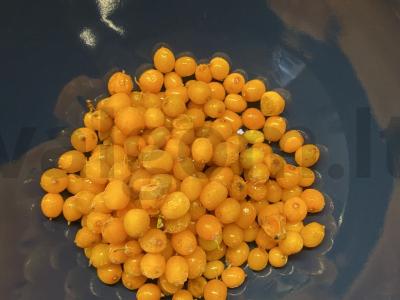 Šaltalankių želė iš agar-agar „Rudens stebuklas“ Žingsnis 2