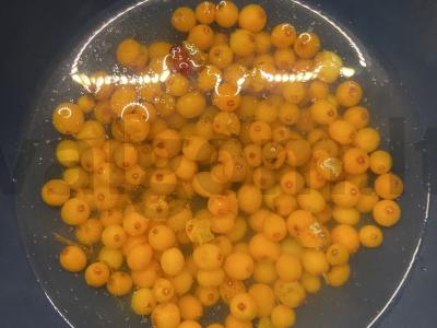 Šaltalankių želė iš agar-agar „Rudens stebuklas“ Žingsnis 3