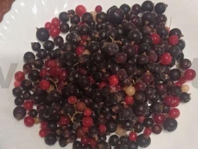 Uogų ir obuolių kompotas Žingsnis 2