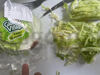 Salotas „Saulutė“ Žingsnis 1