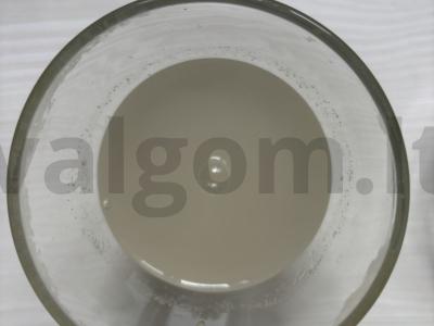 Desertas su agar-agaru ir mangais Žingsnis 2