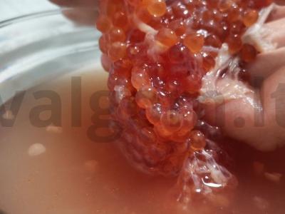 Raudonos žuvies ikra sūdyta Žingsnis 3