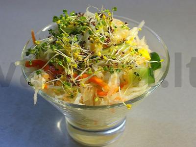 Marinuotų kopūstų salotos su mikrožalumynais pagrindine nuotrauka