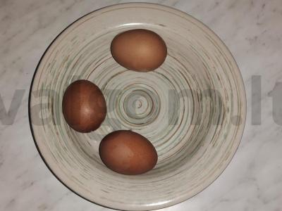 Salotas „Lengva originalumas“ Žingsnis 4