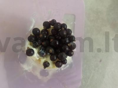 Varškės varškė su juodaisiais serbentais Žingsnis 1