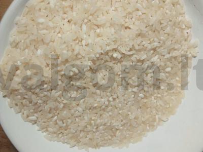 Ryžiai su troškiniu, pomidorais, paprika ir sūriu Žingsnis 2