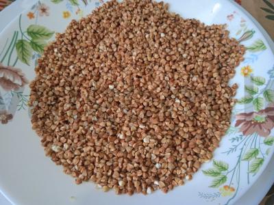 Vištienos širdelės grietinėlės padaže su grikių garnyru Žingsnis 8