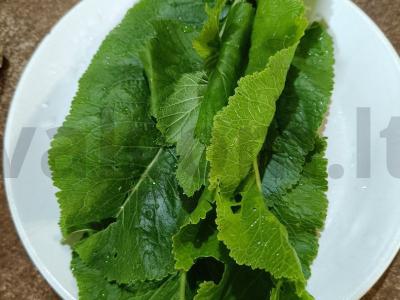 Marinuoti agurkai žiemai Žingsnis 3