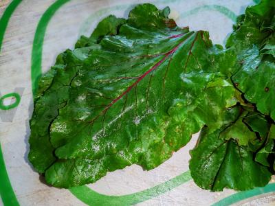 Pirmas patiekalas „Botvinya“ Žingsnis 1