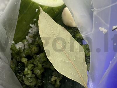 Paprasčiausias marinuotų agurkų receptas Žingsnis 6