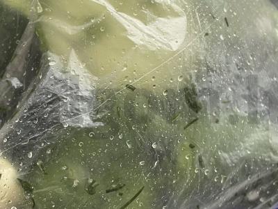 Paprasčiausias marinuotų agurkų receptas Žingsnis 7