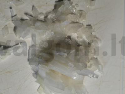 Sluoksniuotas salotas su burokėliais ir žuvimi Žingsnis 1