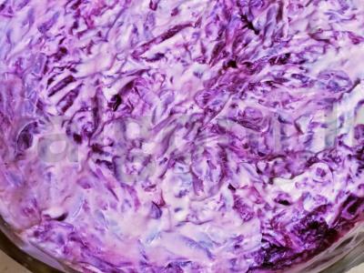 Salotas „Šprotai po šubą“ pagrindine nuotrauka