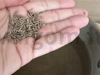 Marinatai per 10 valandų Žingsnis 7